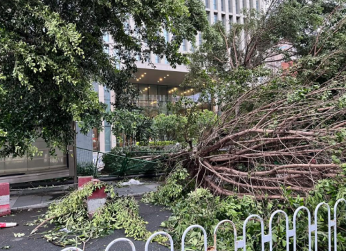 台风“普拉桑”+强冷空气联手！江苏未来三天多地有大暴雨+7-9级阵风_特微天气网